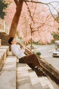 Stunning Cherry Blossoms Paint Tuyen Quang Pink: A Must-Visit Destination - image 11