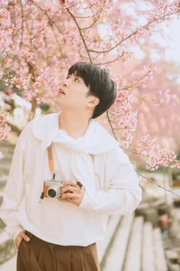 Stunning Cherry Blossoms Paint Tuyen Quang Pink: A Must-Visit Destination - image 9