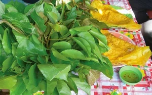 3 Rare Hedge Leaves Transformed into Gourmet Delicacies Worth Their Weight in Gold - image 1