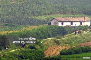 Rare and Surprising Photos of Daily Life in Rural North Korea - image 4