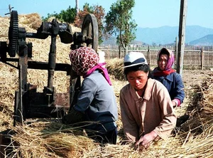 Rare and Surprising Photos of Daily Life in Rural North Korea - image 7
