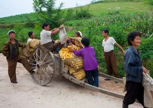 Rare and Surprising Photos of Daily Life in Rural North Korea - image 8