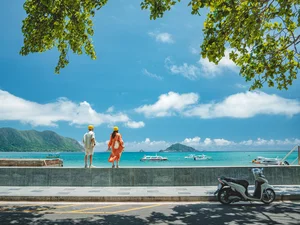 Exploring the Breathtaking 7km Coastal Road That Makes Travelers Fall in Love with Con Dao - image 6