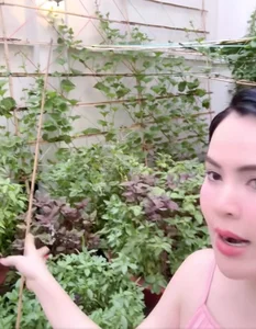 Inside Miss Phuong Le’s $8 Million Luxury Villa and Her Incredible Organic Vegetable Garden - image 11