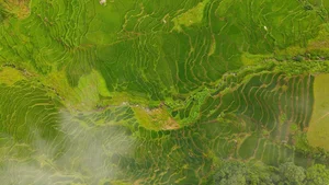 Sapa Travel Guide: Discovering the Lush Green Beauty of Hoang Lien Son - image 3