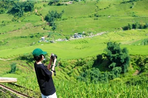 Sapa Travel Guide: Discovering the Lush Green Beauty of Hoang Lien Son - image 1