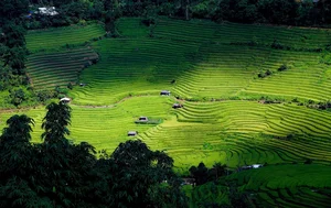 Sapa Travel Guide: Discovering the Lush Green Beauty of Hoang Lien Son - image 2