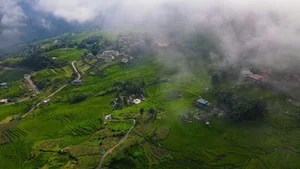 Sapa Travel Guide: Discovering the Lush Green Beauty of Hoang Lien Son - image 8