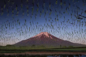 Photographer Captures Breathtaking New Perspectives of Mount Fuji - image 0