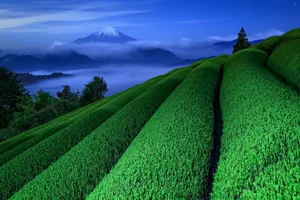 Photographer Captures Breathtaking New Perspectives of Mount Fuji - image 9