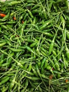 The Rare Wild Forest Fruit Selling for Half a Million VND Per Kilogram - image 5