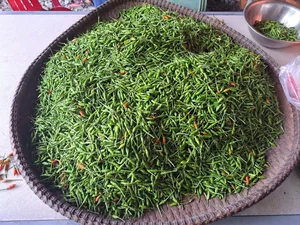 The Rare Wild Forest Fruit Selling for Half a Million VND Per Kilogram - image 8