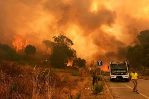 AI Technology Takes the Lead in Fighting Mediterranean Wildfires This Summer - image 3