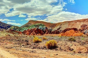 Mind-Blowing Facts About the Atacama Desert: Earth's Driest Place - image 3