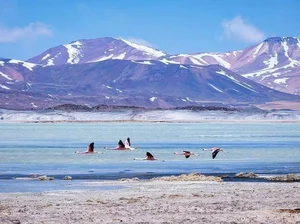 Mind-Blowing Facts About the Atacama Desert: Earth's Driest Place - image 2