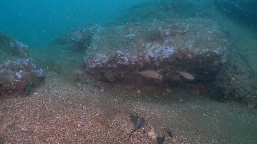 The Mystery of Vanishing Warships: A High-Stakes Race Beneath the Waves