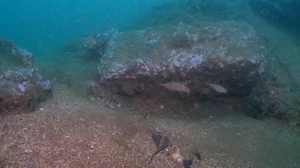 The Mystery of Vanishing Warships: A High-Stakes Race Beneath the Waves - image 0