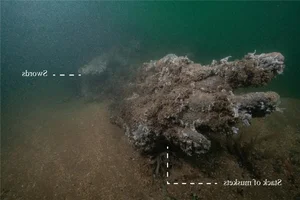 The Mystery of Vanishing Warships: A High-Stakes Race Beneath the Waves - image 4