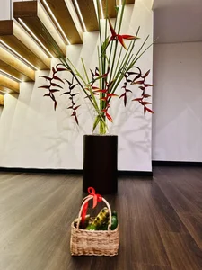 Inside the Luxurious Duplex Apartment of a Famous Singer - image 8