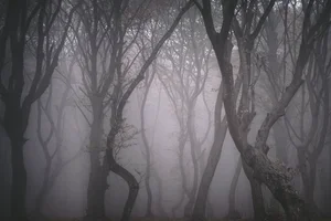 Unsolved Mysteries: The Most Mysterious Places on Earth That Baffle Science - image 6