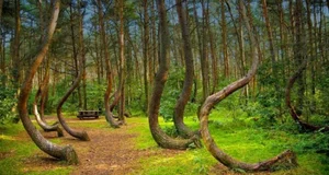 Unsolved Mysteries: The Most Mysterious Places on Earth That Baffle Science - image 5