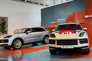 Luxury Meets Performance: Porsche Cayenne S E-Hybrid with Exclusive License Plate - image 3