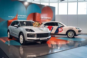Luxury Meets Performance: Porsche Cayenne S E-Hybrid with Exclusive License Plate - image 10