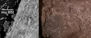 Unlocking the Secrets of a 200,000-Year-Old Ancient Human Cave - image 6