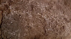 Unlocking the Secrets of a 200,000-Year-Old Ancient Human Cave - image 3