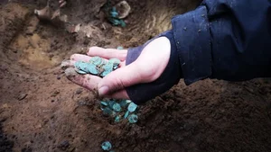 Accidental Archaeology: Farmer Discovers Ancient Treasure Hoard While Plowing Fields - image 4