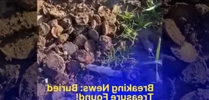 Accidental Archaeology: Farmer Discovers Ancient Treasure Hoard While Plowing Fields - image 7