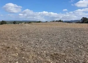 Unlocking the Secrets of the Lost Battlefield of Alexander the Great - image 7