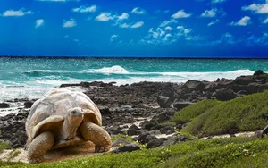 Unveiling the Deep Pacific: Earth’s Most Bizarre and Isolated Marine Ecosystems - image 0