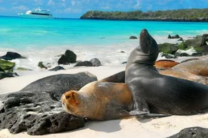Unveiling the Deep Pacific: Earth’s Most Bizarre and Isolated Marine Ecosystems - image 5