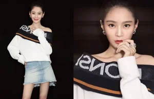 Wang Yuanke: Story of Yanxi Palace Star and Her Unique Real-Life Romance - image 12
