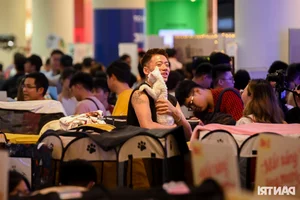 World's Ugliest Cat Steals the Spotlight at Ho Chi Minh City Feline Beauty Pageant - image 5