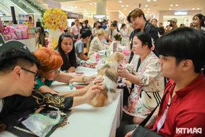 World's Ugliest Cat Steals the Spotlight at Ho Chi Minh City Feline Beauty Pageant - image 11