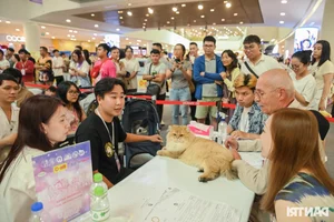 World's Ugliest Cat Steals the Spotlight at Ho Chi Minh City Feline Beauty Pageant - image 6