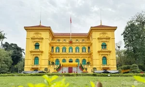 Vietnam Honors Chinese President Xi Jinping with Majestic 21-Gun Salute Ceremony - image 5