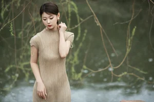 Elegant Chinese Zen Style: A Serene Garden Stroll in Hanfu Fashion - image 8