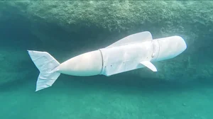Innovative Robotic Fish Explores the Ocean to Collect Marine DNA - image 0