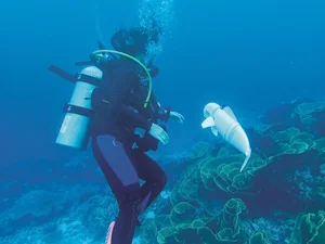 Innovative Robotic Fish Explores the Ocean to Collect Marine DNA - image 4