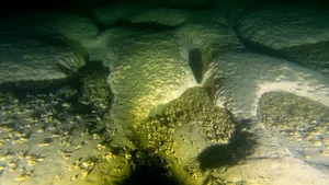 Uncovering the Mystery: Giant Holes Discovered at the Bottom of Lake Michigan - image 5