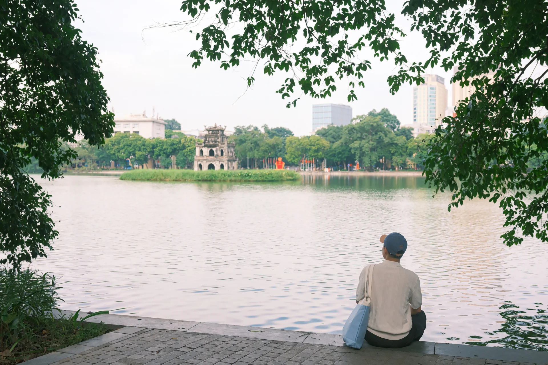 Loss of Heritage: Iconic Hanoi Trees Felled by Recent Storm