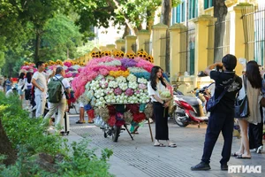 Loss of Heritage: Iconic Hanoi Trees Felled by Recent Storm - image 8