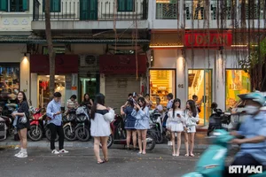 Loss of Heritage: Iconic Hanoi Trees Felled by Recent Storm - image 4