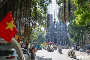 Loss of Heritage: Iconic Hanoi Trees Felled by Recent Storm - image 6