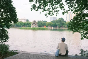 Loss of Heritage: Iconic Hanoi Trees Felled by Recent Storm - image 0