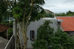 Stunning Raw Concrete House Design in Quang Ngai Defies Traditional Architecture - image 2