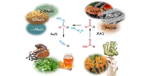 The Duality of Cyanide: From Nature's Hidden Defense to a Notorious Toxin - image 0